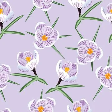 Pattern with spring purple crocus Illustrazione stock