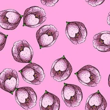 Pattern spring sakura sketch hand drawn Stock Illustration