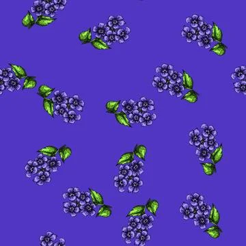 Pattern spring violet sketch hand drawn Illustrazione stock