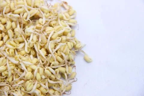 Pattern of sprouts ready to eat. sprouts for food flavoring Stock Photos