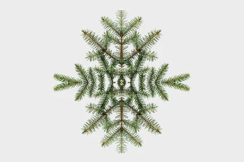 A pattern of spruce branches in the form of a snowflake on a white background. 写真素材