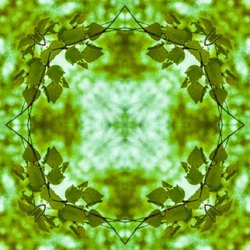 Pattern square from a photo - young leaves of a birch against the sky Illustrazione stock