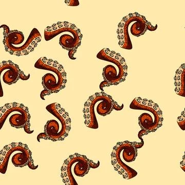 Pattern squid octopus kraken tentacle sketch hand drawn Stock Illustration