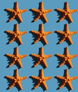 Pattern with starfish with hard shadow on a colored background, top view. Stock Photos