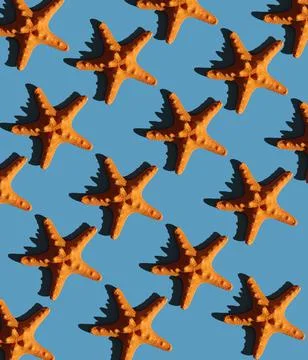Pattern with starfish with hard shadow on a colored background, top view. Stock Photos