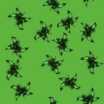 Pattern stevia leaf organic sketch hand drawn Stock Illustration