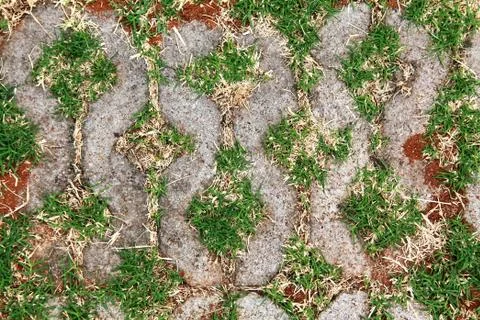 Pattern stone floor Stock Photos
