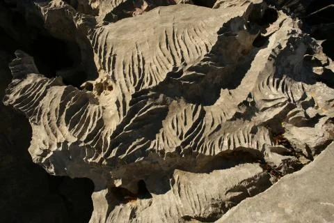 Pattern on stone Foto stock