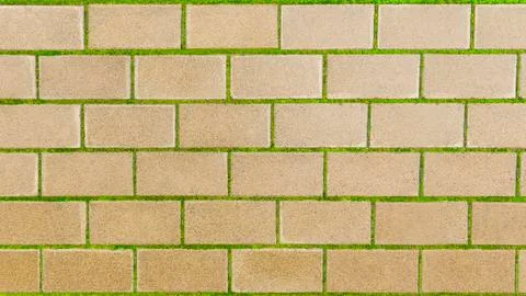 Pattern of stone wet pavement tiles with green moss texture after the rain. Stock Photos