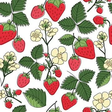 Pattern with strawberry berries, leaves and flowers on white background Ilustração Stock