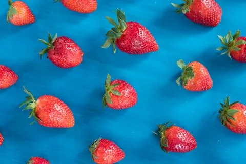 Pattern with strawberry , blue background 库存照片