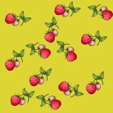 Pattern strawberry sketch hand drawn Stock Illustration
