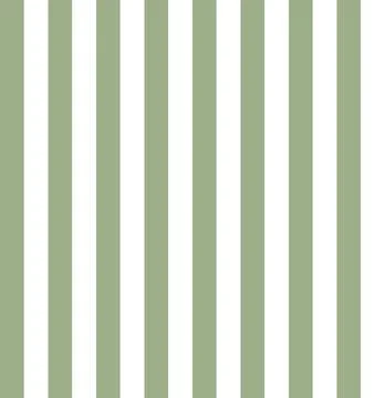 Pattern stripe seamless sage green and white colors. geometric pattern Stock Illustration