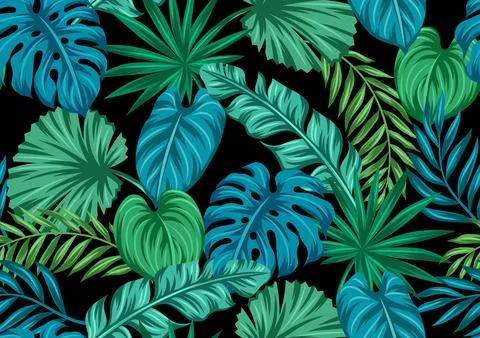 Pattern with stylized palm leaves. Decorative image of tropical foliage and Stock Illustration