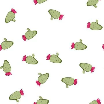 Pattern succulent cactus cartoon vector Stock Illustration