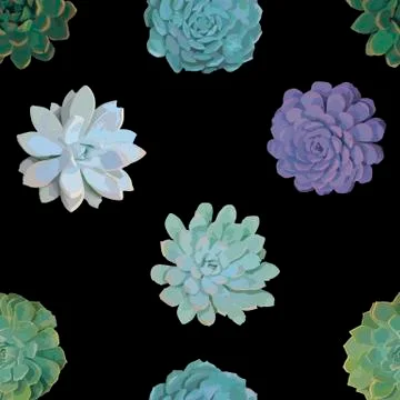 Pattern with succulents Stock Illustration