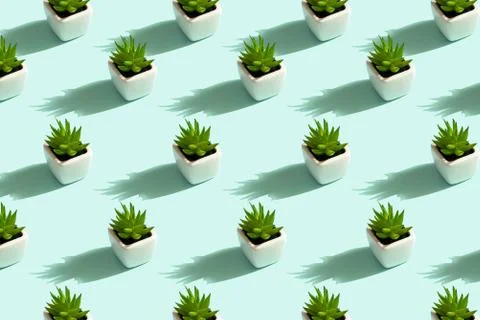 Pattern of succulents in white pots on mint background Stock Illustration