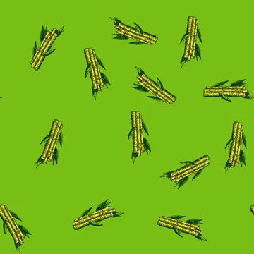 Pattern sugar cane sketch hand drawn Stock Illustration