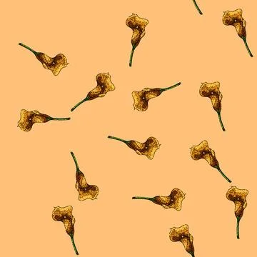 Pattern summer calla lily sketch hand drawn イラスト素材