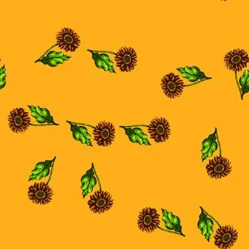 Pattern summer gerbera daisy sketch hand drawn Stock Illustration
