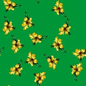 Pattern summer hibiscus sketch hand drawn Stock Illustration