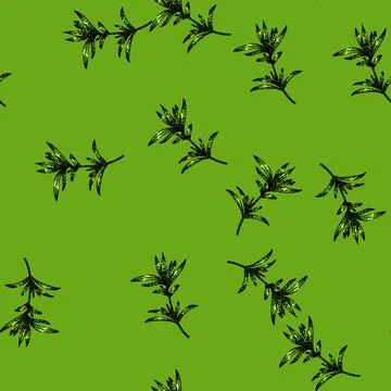 Pattern summer savory sketch hand drawn Stock Illustration