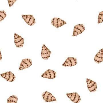 Pattern summer sea shell cartoon vector Stockillustratie