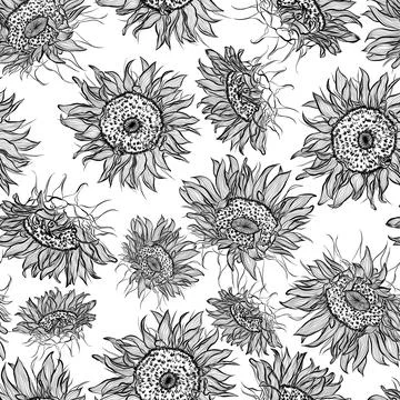 Pattern with sunflowers Stock Illustration