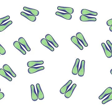 Pattern support insoles cartoon vector Stock Illustration