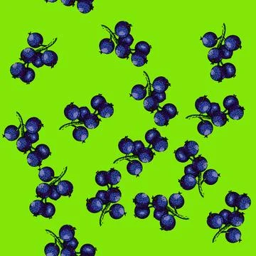 Pattern sweet black currant sketch hand drawn イラスト素材