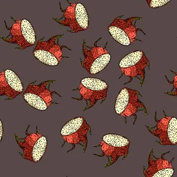 Pattern sweet dragon fruit sketch hand drawn Stock Illustration