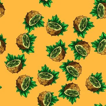 Pattern sweet kiwano sketch hand drawn Stock Illustration