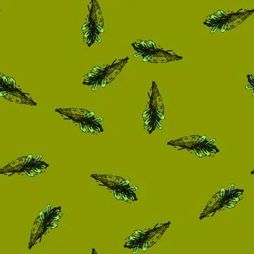 Pattern sweet marjoram sketch hand drawn Stock Illustration