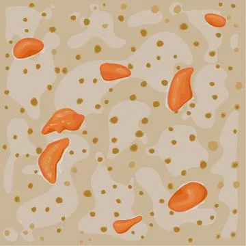 A pattern of sweet orange honey  potatoes and green peanut seeds on brown backgr Stock-Illustration