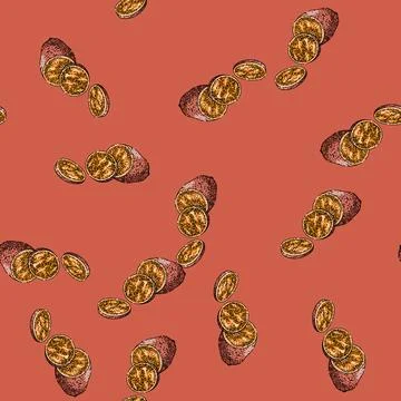 Pattern sweet potato cut sketch hand drawn Stock Illustration