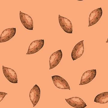 Pattern sweet potato orange sketch hand drawn 스톡 일러스트