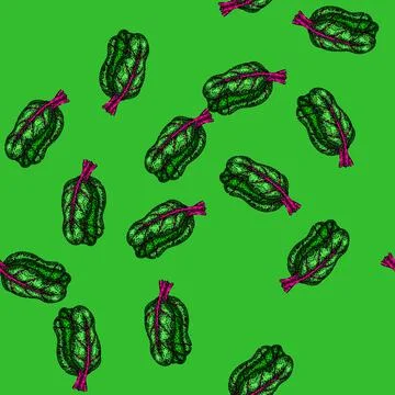 Pattern swiss chard sketch hand drawn Stock Illustration