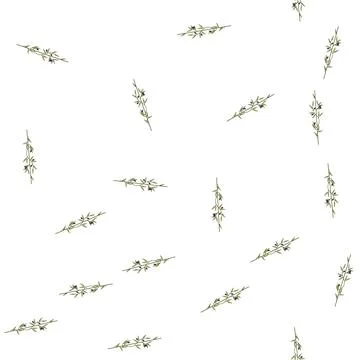 Pattern tapas olive border divider cartoon vector 스톡 일러스트