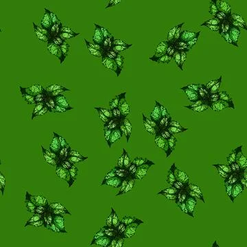 Pattern tea nettle sketch hand drawn イラスト素材