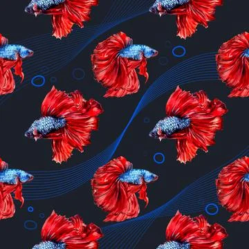 Pattern template with Siames fighting fish concept design watercolor vector i 스톡 일러스트