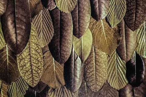 Pattern Textile Fabric Material Canvas Texture Background Stock Photos