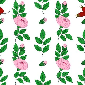 Pattern for textile or kitchen in hand draw style. Seamless pattern Stock Illustration