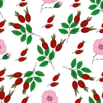 Pattern for textile or kitchen in hand draw style. Seamless pattern Stock Illustration