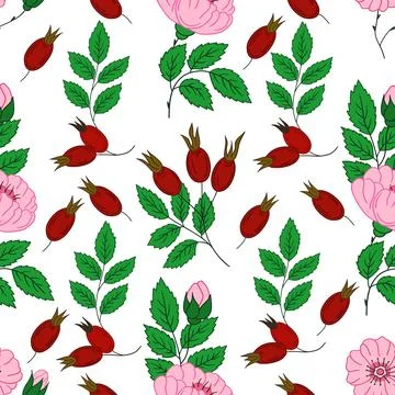 Pattern for textile or kitchen in hand draw style. Seamless pattern Stock Illustration