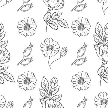 Pattern for textile or kitchen in hand draw style. Monochrome pattern Stock Illustration