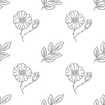 Pattern for textile or kitchen in hand draw style. Monochrome pattern 스톡 일러스트