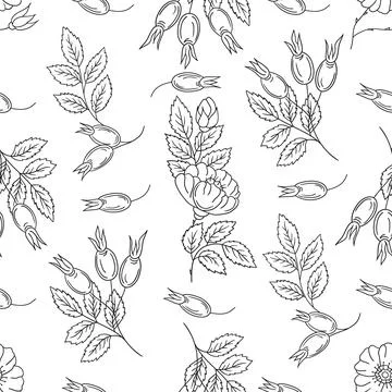 Pattern for textile or kitchen in hand draw style. Monochrome pattern Stock Illustration