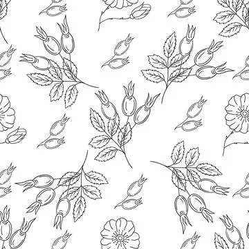Pattern for textile or kitchen in hand draw style. Monochrome pattern Stock Illustration