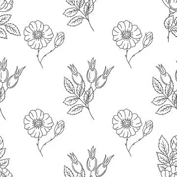 Pattern for textile or kitchen in hand draw style. Monochrome pattern Stock Illustration