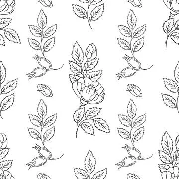 Pattern for textile or kitchen in hand draw style. Monochrome pattern Stock Illustration